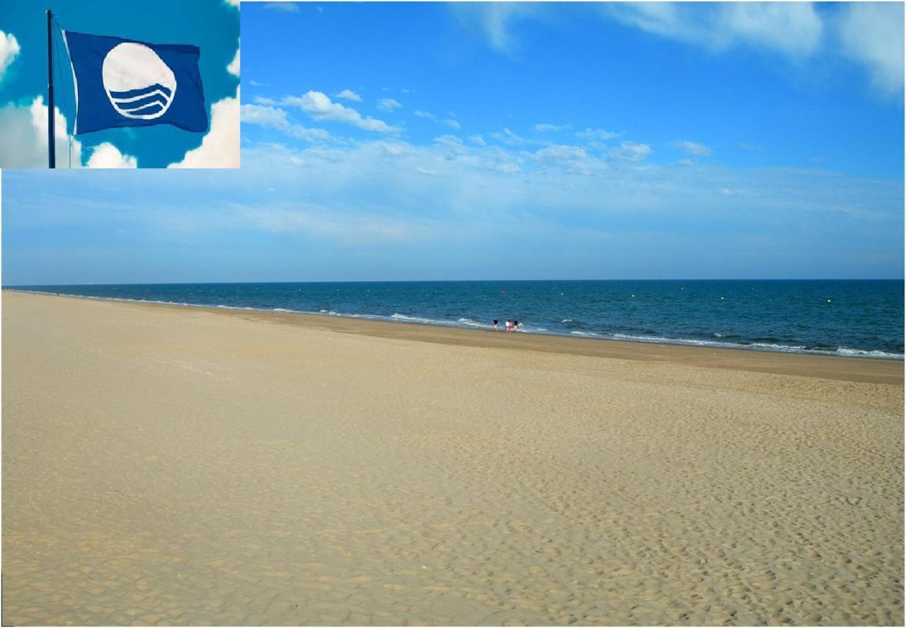 Apartamento Cerca Del Mar Oliva Zewnętrze zdjęcie